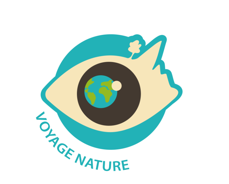 des Yeux plus Grands que le Monde